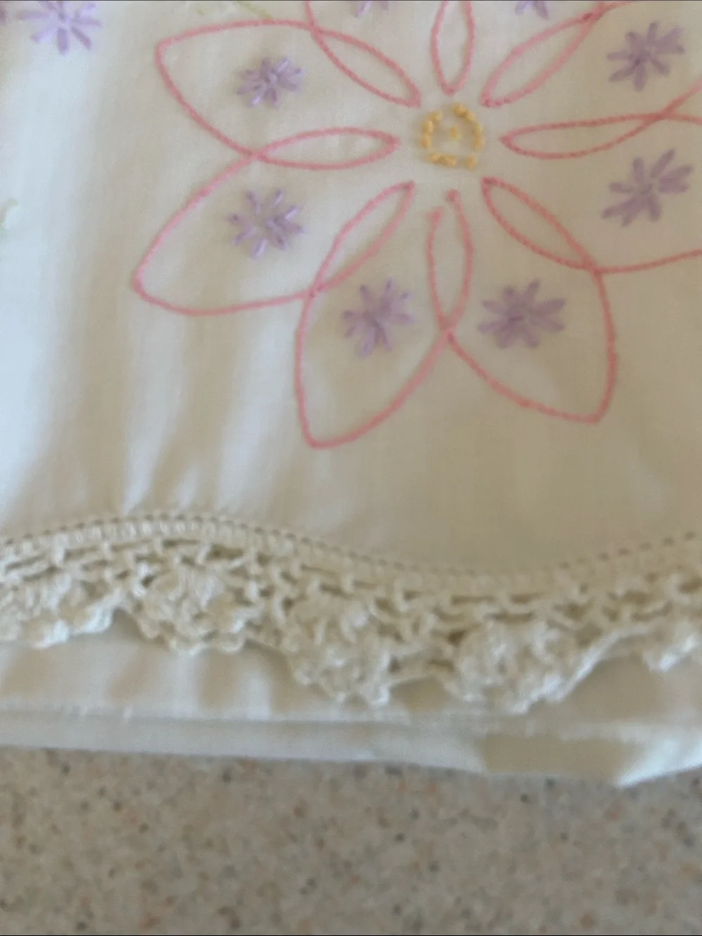 Vintage Hand Embroidered Floral Pillowcases Pair Crochet Trim